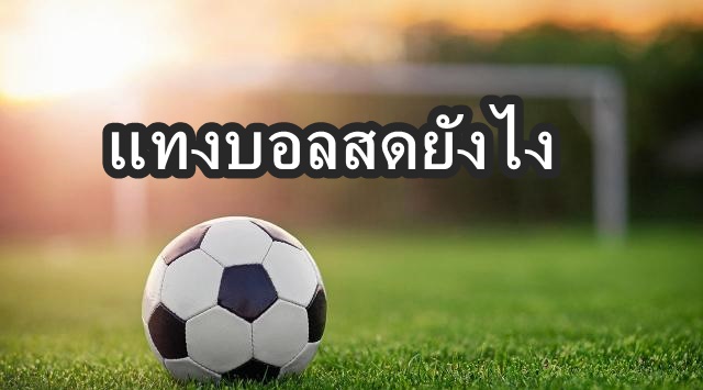 แทงบอลสดยังไง